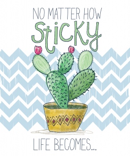 DDD-1002cactusBMfront_short