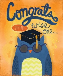 DDD-1024_WiseOwlGrad_ShortOutside