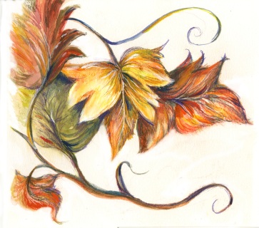 JA-3904-Pumpkin-leaves