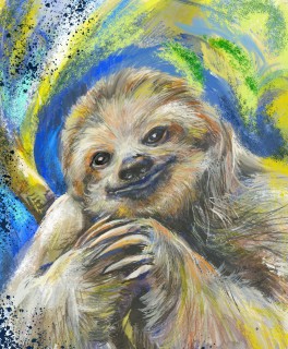 JA-5206a-Sloth