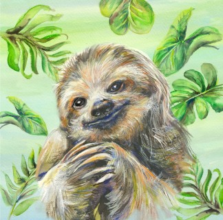 JA-5206c-Sloth3