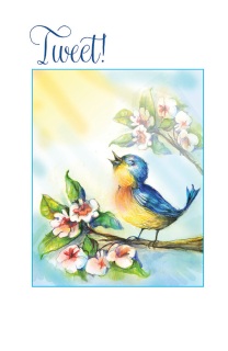 bluebird bluebird