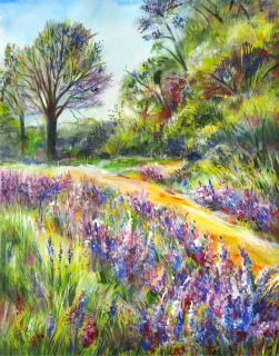 JA-6205b-Summer-meadow