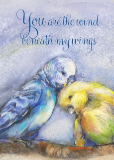 JA-6230b-parakeetcard