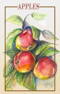 JA-7001-Apples JA-7001-Apples
