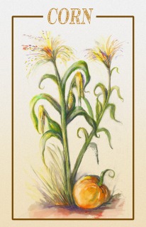 JA-7004a-corn