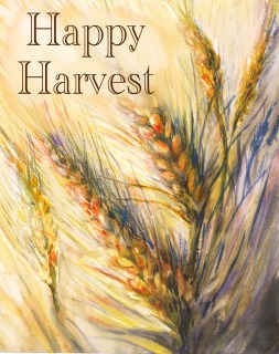 JA-7005a-fall-wheat