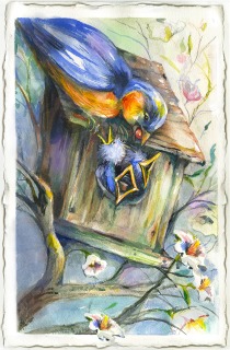 JA-7015b-Bluebird-reversed