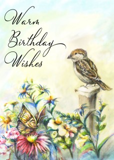 JA-7025-Sparrowlayout-card