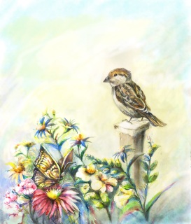 JA-7025-Sparrowlayout