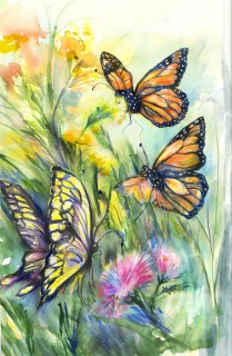 JA-7026-monarchs