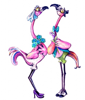 JA-8655c-Wedc-transparent