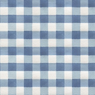 JN-0201a-Blue-Check