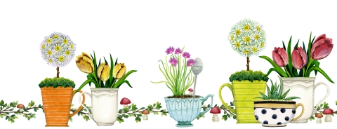 JN-0405-Plant-Positivity-Border