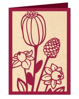 JW-1038-card-seedheads-3Dmockup