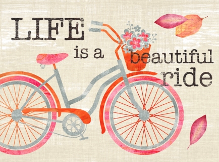 JW-1063-beautiful-ride-bike