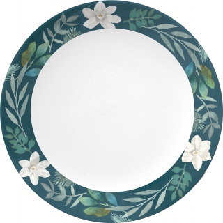 JW-1146h-plate-trans