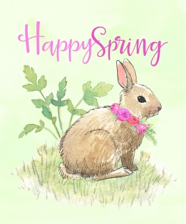 JW-1147g-colored-bkgd