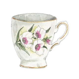 JW-1167d-teacup