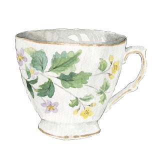 JW-1167g-teacup
