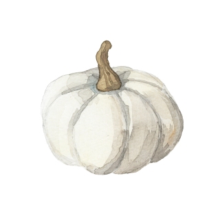 JW-1171a-white-pumpkin