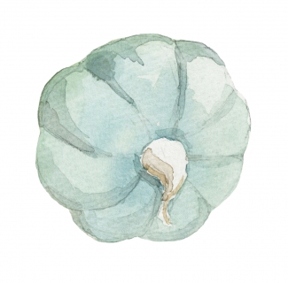 JW-1171b-teal-pumpkin