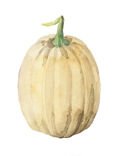 JW-1171d-yellow-pumpkin