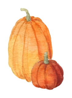 JW-1171g-pumpkins