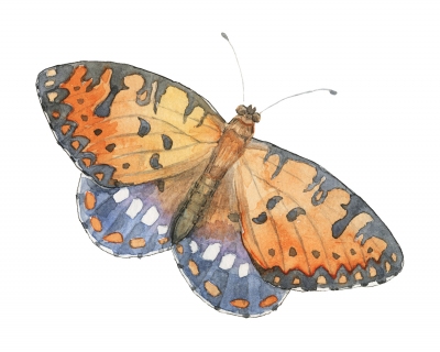 JW-1188a-bronze-copper-butterfly