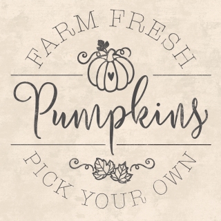 JW-1190l-Farm-fresh-pumpkins