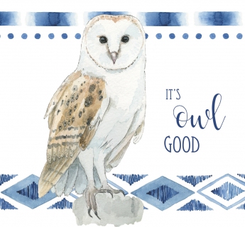 JW-1196a-owl-a