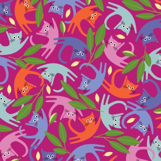 JW-1199s-Cattitude-ballet-fucshia