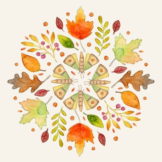 JW-1203j-Hello-Fall-moth-mandala