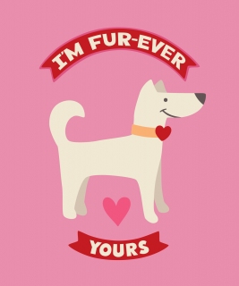 JW-1205e-Valentine-dog-gift-bag