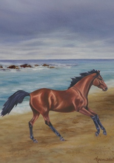 KKH-0105-horse-on-KKH-9109-beach-flag