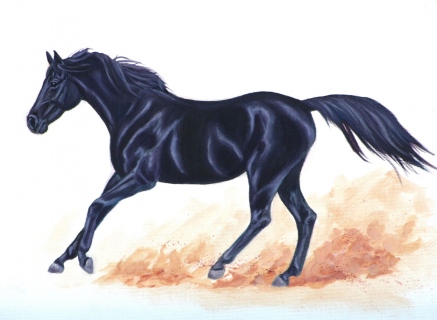 KKH-0108_horse_black