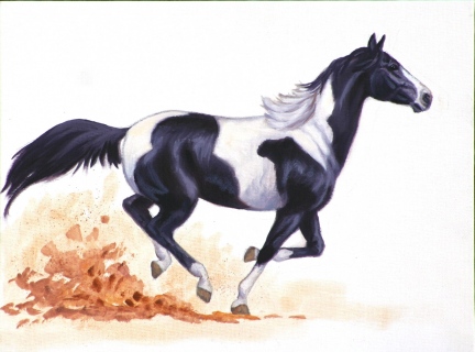 KKH-0109_horse_blackpaint
