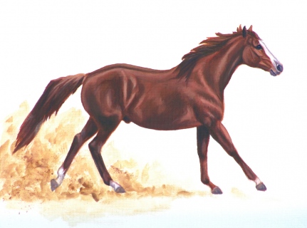 KKH-0110_horse_chestnut