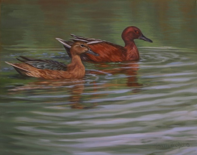 KKH-1017-Morning-Swim-Cinnamon-Teals