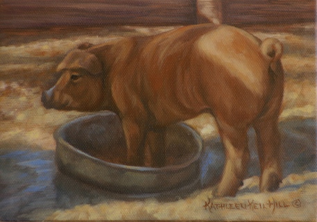 KKH-1018-Pig-in-a-Bucket