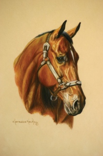 KKH-1024-Show-Halter-closeup