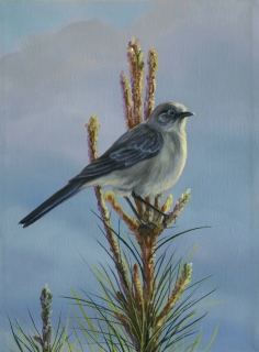 KKH-9002-Mockingbird