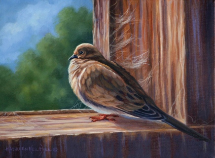 KKH-9003-Mourning-Dove