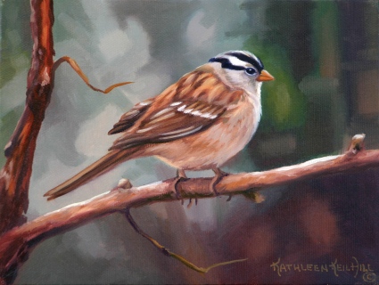 KKH-9005-White-Crowned-Sparrow