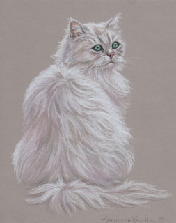 KKH-9012-White-Cat KKH-9012-White-Cat