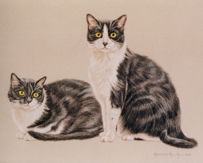 KKH-9023-Cats_two KKH-9023-Cats_two