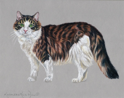 KKH-9025-Cat_standing