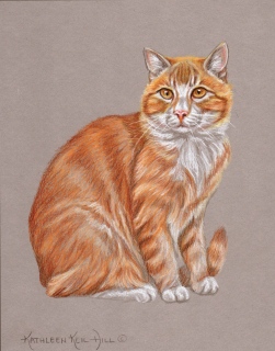 KKH-9026-Cat_yellow KKH-9026-Cat_yellow