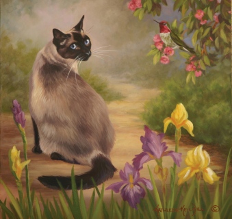 KKH-9043-Look-Around