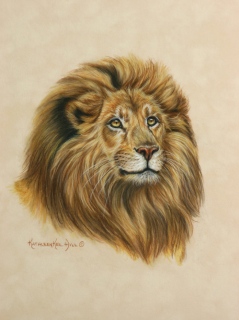 KKH-9068-Lion-King